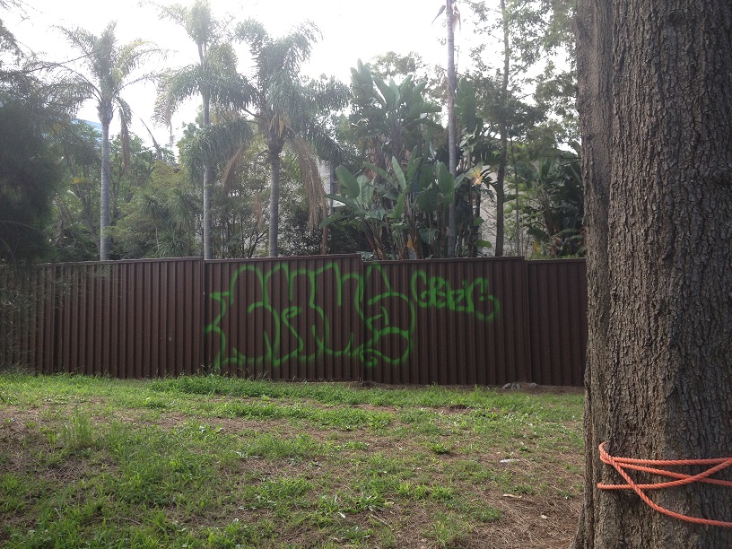 Grafitto South fence